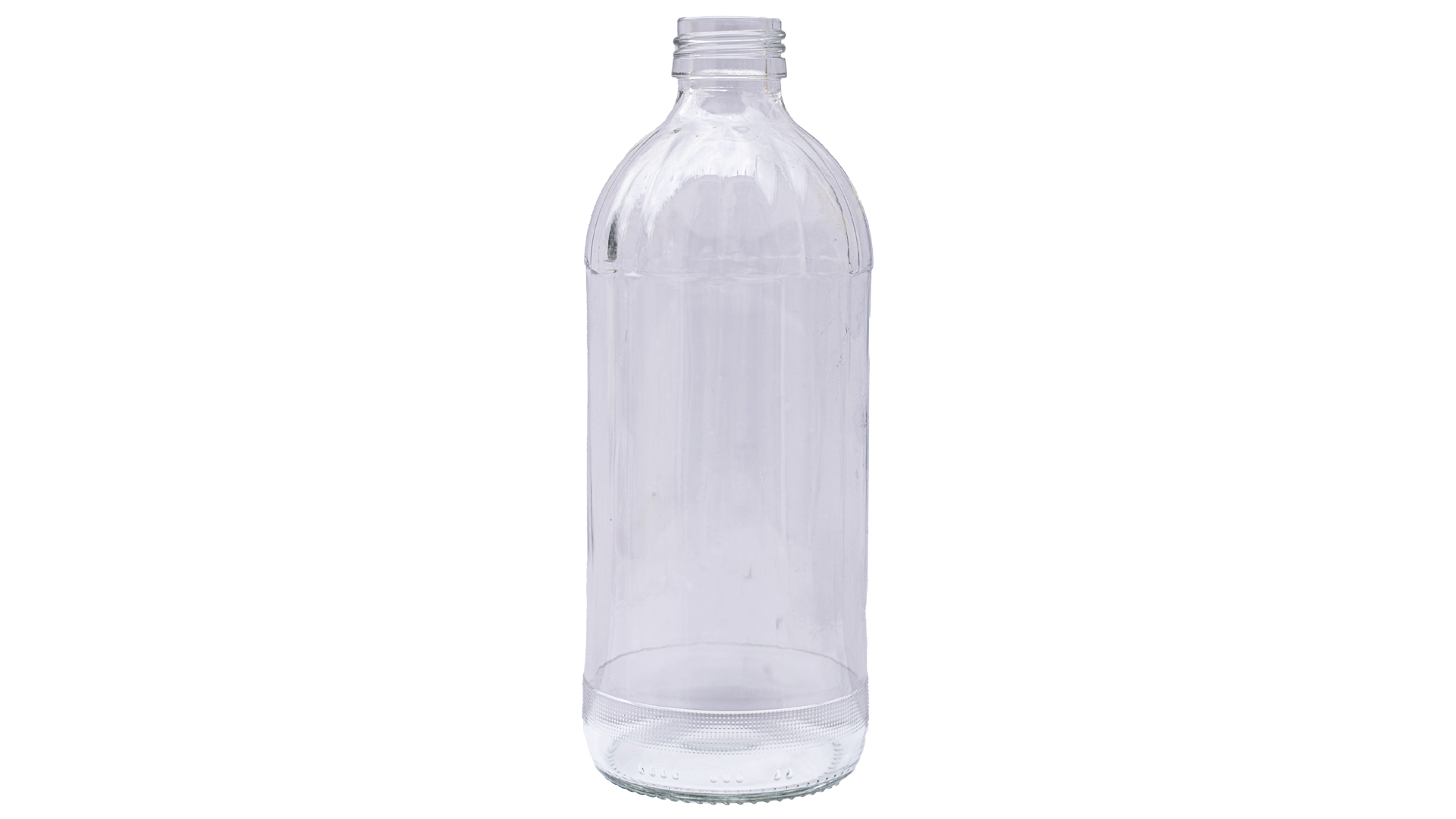 juice bottle 450